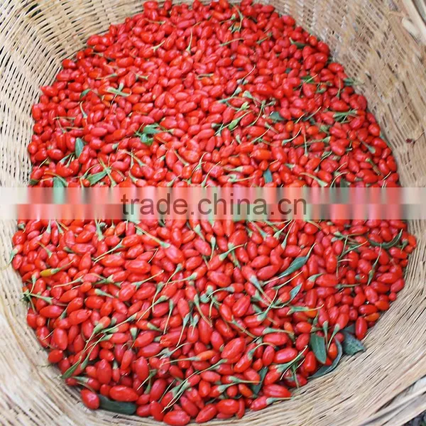 2015 NingXia Manufacturer of Goji Berry/ Red Dried Wolfberry