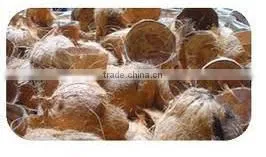 High Quality Cheap Dry Coconut Shell