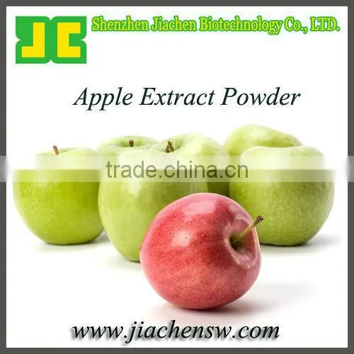 Organic Apple Powder With Polyphenols 80%