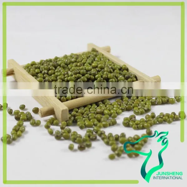 Green Mung Bean/Green Gram/Mung Beans Sprouting photo-5