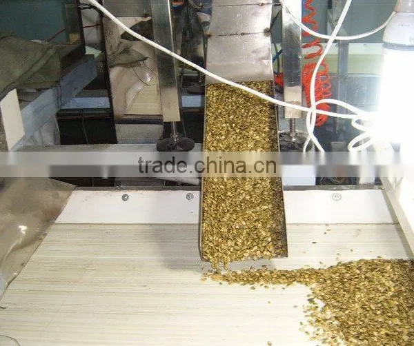 Wholesale Chinese White Pumpkin Seeds With High Quality photo-4