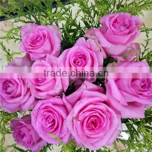 Wholesale Fresh Cut Rose Flowers for Wedding photo-6