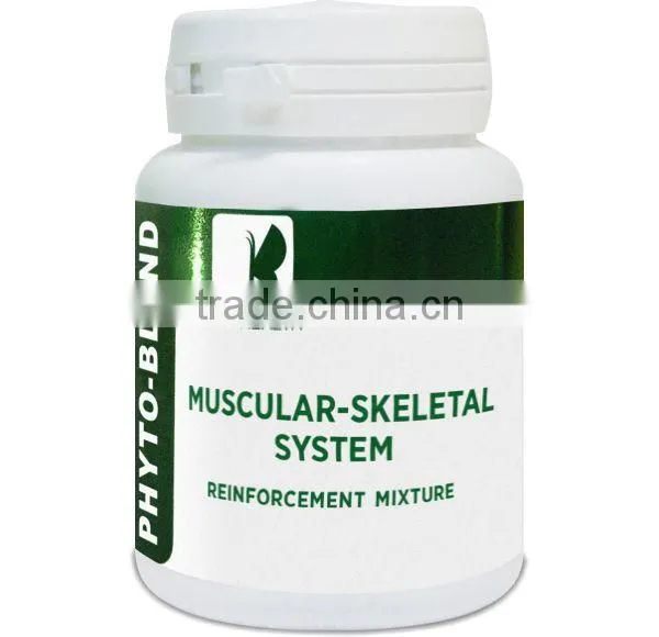 Phyto-blend "Muscular-skeletal System Reinforcement Mixture"