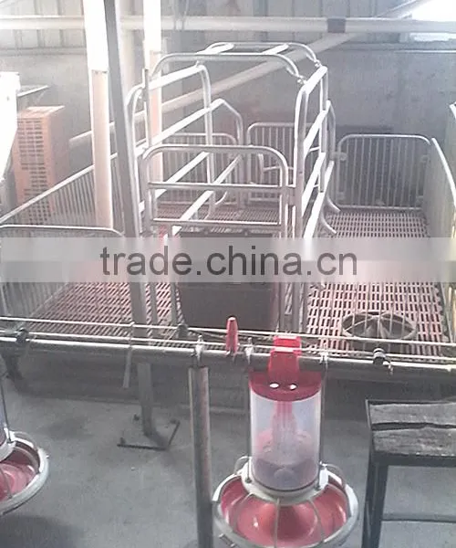 Goldenest High Quality Cheap Price Automatic Farrowing Crate for Pigs Sow Sty Farming Equipment for Sale photo-3