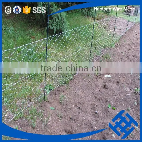 Useful Fish Trap Hexagonal Wire Mesh photo-4