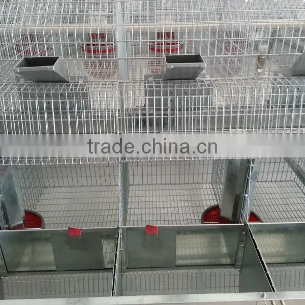 Rabbit Raising Equipment photo-4