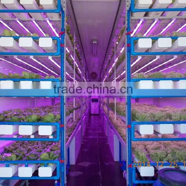 Greenhouse Fabrics photo-3