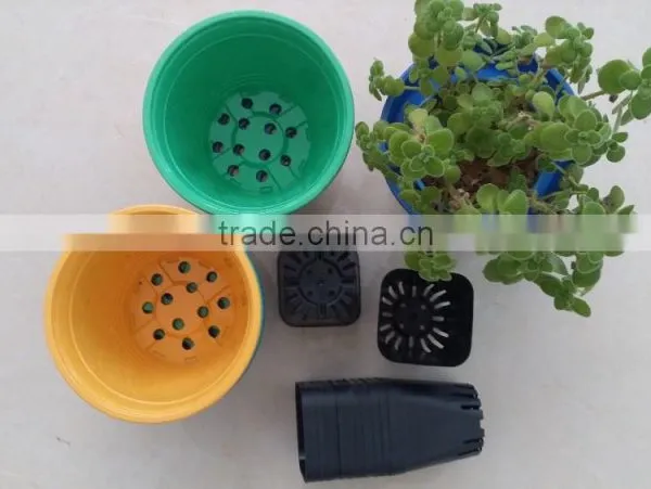 Interior Decorative Pots photo-6