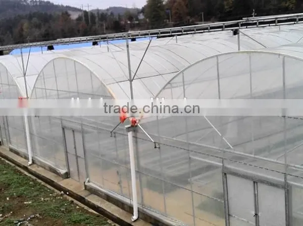 Vegetable Greenhouses for Sale 200 Micron Greenhouse Film/vegetable Seeds Greenhouse photo-6