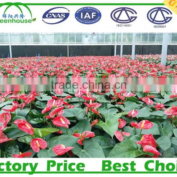 Agriculture One Stop Gardens Greenhouse Parts Manufacturer photo-2