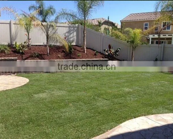 Fake Lawn Green Landscaping Grass for Sale photo-5