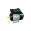 Electrical Motor