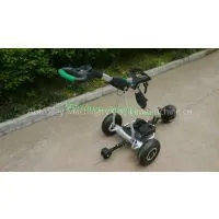 GERMANY QUALITY Pneumatic Tire Air Tire P1R Remote Control Golf Trolley photo-2