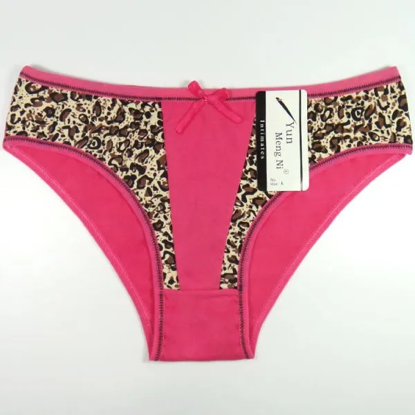 Yun Meng Ni Sexy Underwear Charming Lepoard Printed Ladies Briefs Soft Cotton Panties For Women photo-2