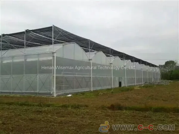 Durable Multi Span Agriculture Equipment Polythene Greenhouse photo-4