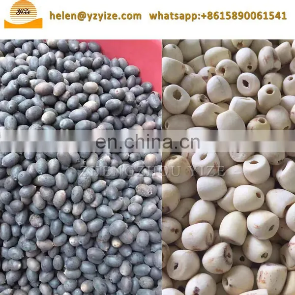 Automatic Lotus Seed Core Removing Drilling Machine Lotus Seed Corer Machine photo-3