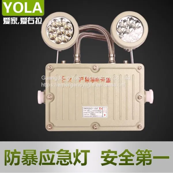Emergency Light Charging Led Industrial Emergency Exit Double Heads Lights photo-4