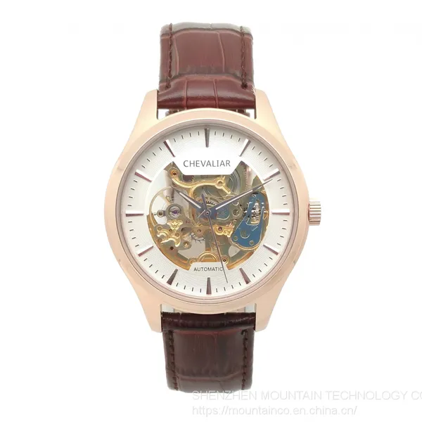 Stainless Steel Water Resistance Mechanical Watches Man Fashion Automatic Watch