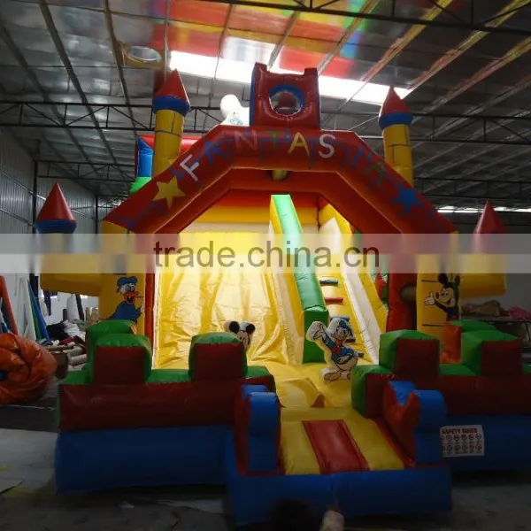 Best Quality Inflatable Water Slides Giant Inflatable Water Slide for Adult photo-3