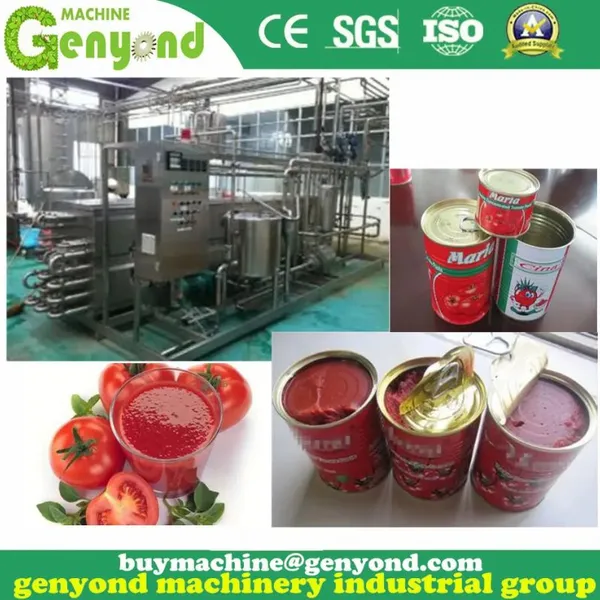 Pulp Serialization Automatic Fresh Tomato Puree Pulp Paste Sauce Powder Jam Juice Processing Line Plant Juice Extractor photo-6