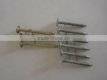 Roofing Coil Nail