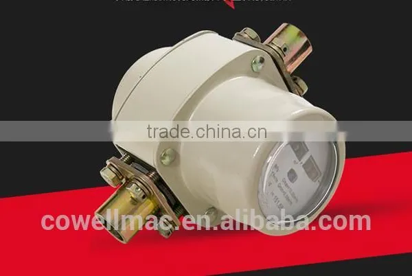 Roots Type Flow Meter( Gas Flow Meter) photo-6