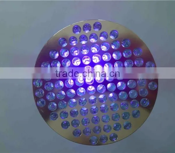 Black Light Flashlight uv Light Torch, Pet Urine Detector uv Flashlight, uv Torch Credit Card Flashlight Quality Choice photo-3