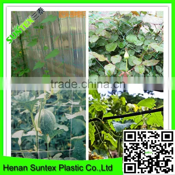Heavy Duty Long-lasting Flexible Trellis Netting Plant Support Web photo-5