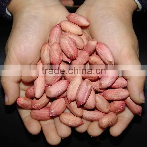 Chinese Peanut Kernels 24/28 28/32 50/60 60/70
