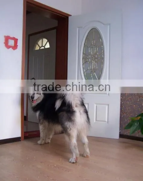 Modern House Design Fiberglass Door With SMC Material photo-3