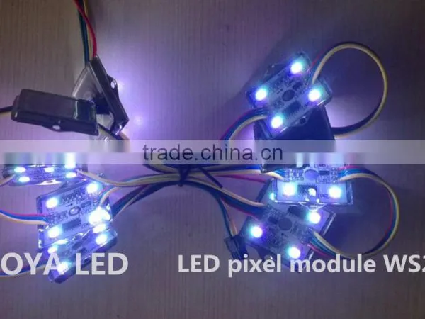 36mm Square 12V Digital RGB Addressable LED Pixels Modules (Strand of 20) - WS2801