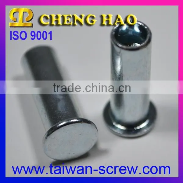 OEM Manufactur Flat Button Head Rivet With Stainless Steel photo-5