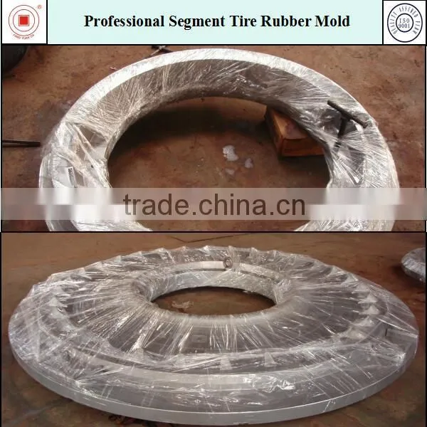 Professoional Segment Tire Rubber Mold photo-4
