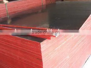 Film Faced Shuttering Plywood
