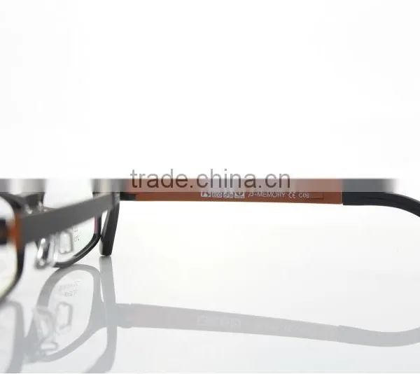 2013 News Frames TR-90 213
