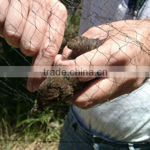 Anti Bird Protection Net