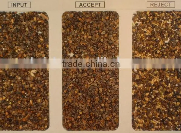 Patented Ejector With 5000+pixel Color Sorter With Fast Detection and High Identification Rate,beer Barley Grading Machine photo-3