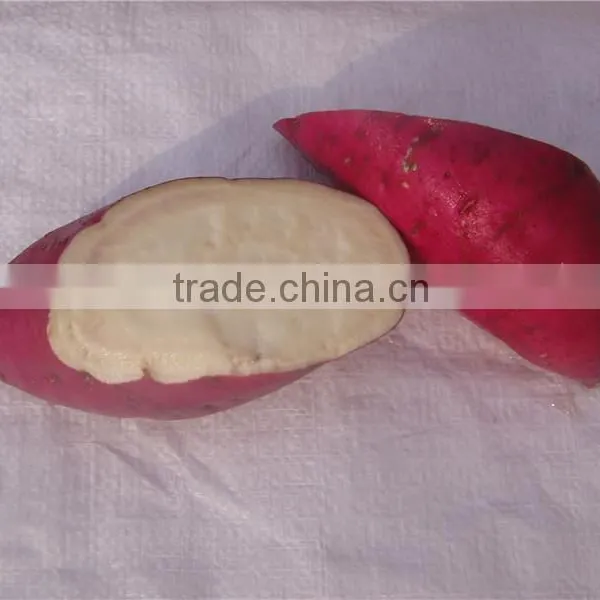Fresh Sweet Potato/purple Sweet Potato/yellow Sweet Potato photo-3