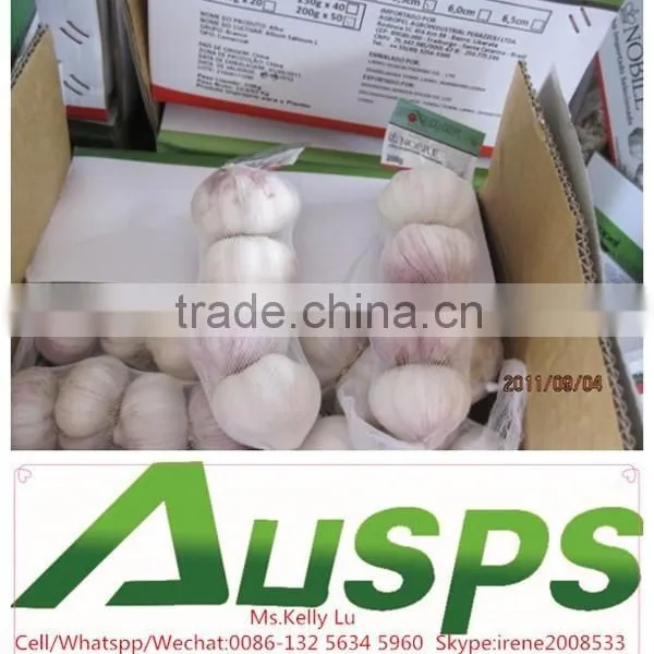 2015 Crop Garlic China photo-3