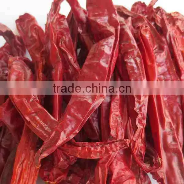 2015 New Crop Manufacturer Supplier Strictly Quality Control HACCP HALAL Dried Red Erjintiao Chile de Arbol for Mexico Market photo-2