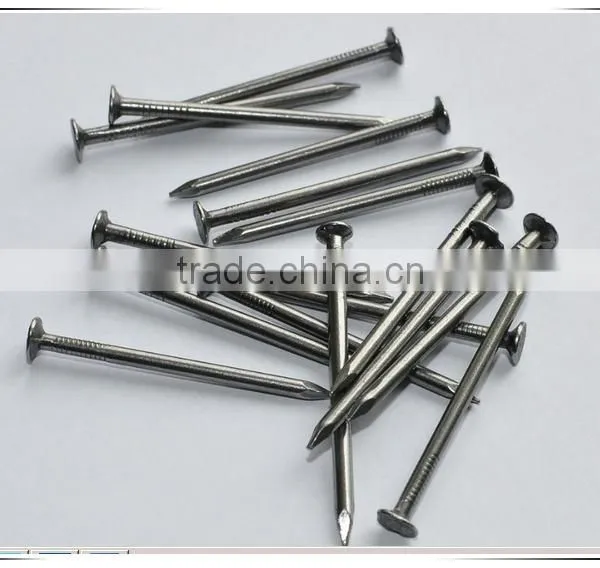 3" Common Nail Beauty Product Iron Nails From China Factory photo-3