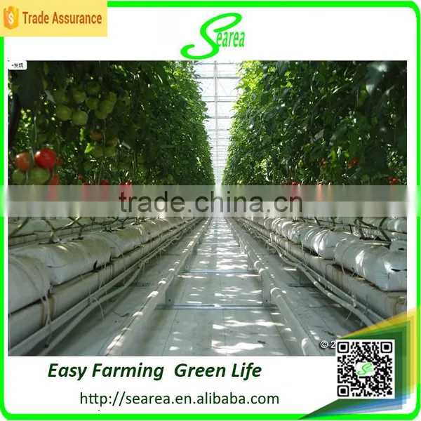 Hydroponic Pvc Plastic Channel for NTF Greenhouse Hydroponic System photo-4