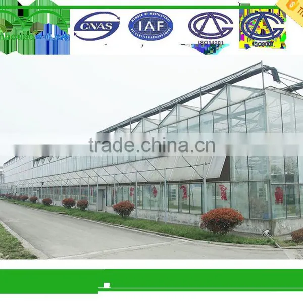 China Supplier Invernadero Agriculture Greenhouse photo-5