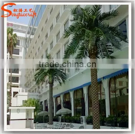 Wholesale Plastic All Kinds of Outdoor Fake Artificial Date Palm Trees photo-4