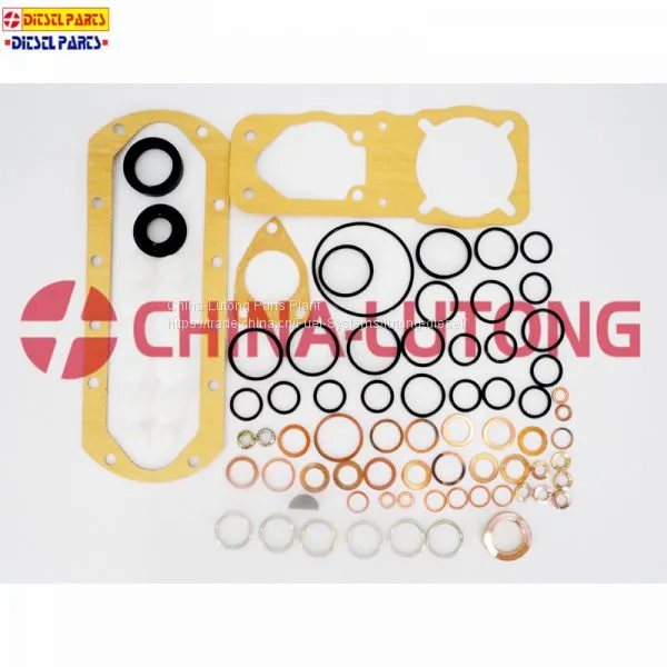 Repair Kits-for Toyota Fuel Injector Rebuild Kit photo-4
