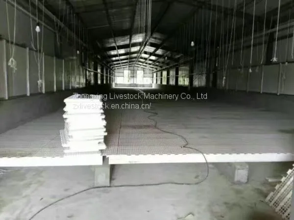 Plastic Slat Floor for Poultry photo-4