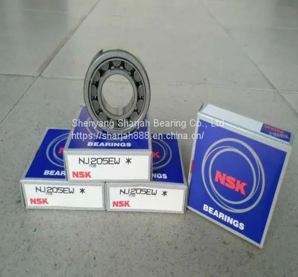 NSK Cylindrical Roller Bearings NJ205 Eccentric Bearing Rn205 Size 255215mm