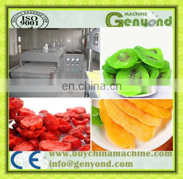 Raisin Processing Equipment/fruit Processing Equipment photo-3