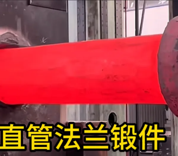 Straight Pipe Flange Forgings | Forged Components | Factory Customization