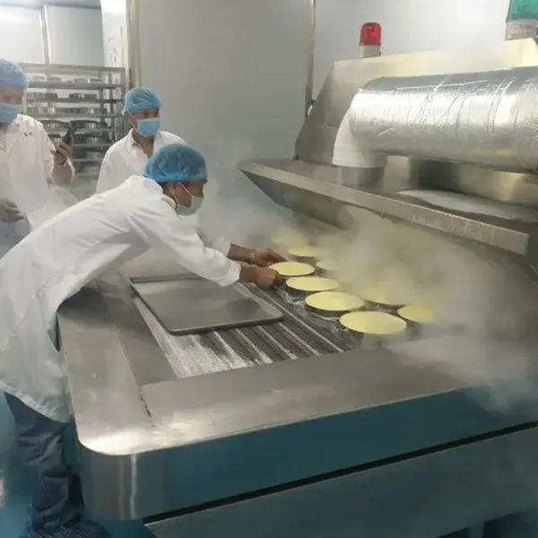 Industrial Food Freezing Machine Tunnel Quick-Freezing Potato Fries Chips Vegetable IQF Machine photo-6